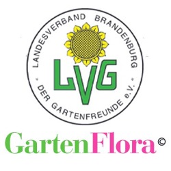 Verbandsinformationen Brandenburger GartenFlora 07/2022